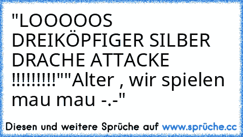 "LOOOOOS DREIKÖPFIGER SILBER DRACHE ATTACKE !!!!!!!!!"
"Alter , wir spielen mau mau -.-"