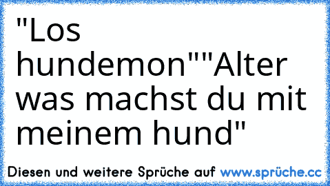 "Los hundemon"
"Alter was machst du mit meinem hund"