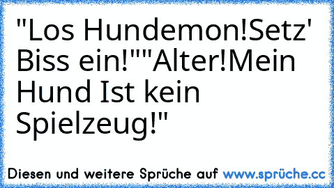 "Los Hundemon!Setz' Biss ein!"
"Alter!Mein Hund Ist kein Spielzeug!"