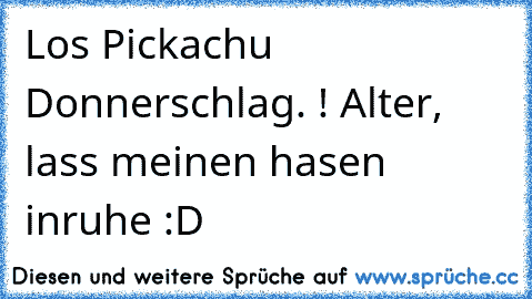 Los Pickachu Donnerschlag. ! Alter, lass meinen hasen inruhe :D