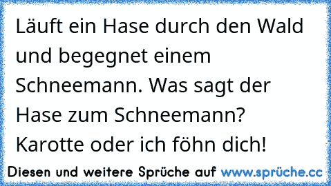 Läuft ein Hase durch den Wald und begegnet einem Schneemann. Was sagt der Hase zum Schneemann? Karotte oder ich föhn dich!