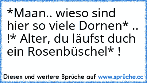 *Maan.. wieso sind hier so viele Dornen* .. !
* Alter, du läufst duch ein Rosenbüschel* !