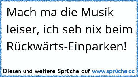 Mach ma die Musik leiser, ich seh nix beim Rückwärts-Einparken!