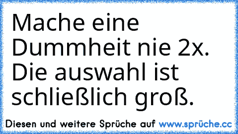 Mache eine Dummheit nie 2x. Die auswahl ist schließlich groß.