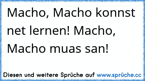 Macho, Macho konnst net lernen! Macho, Macho muas san!