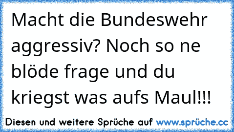 Macht die Bundeswehr aggressiv? Noch so ne blöde frage und du kriegst was aufs Maul!!!