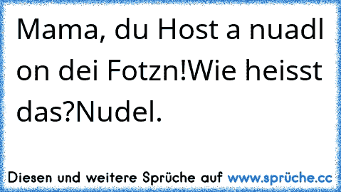 Mama, du Host a nuadl on dei Fotzn!
Wie heisst das?
Nudel.