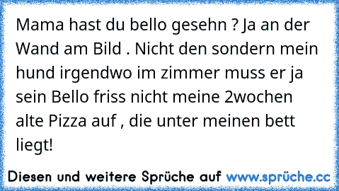 Mama hast du bello gesehn ? Ja an der Wand am Bild . Nicht den sondern mein hund irgendwo im zimmer muss er ja sein Bello friss nicht meine 2wochen alte Pizza auf , die unter meinen bett liegt!