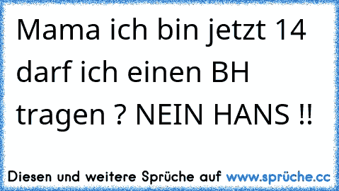 Mama ich bin jetzt 14 darf ich einen BH tragen ? NEIN HANS !!