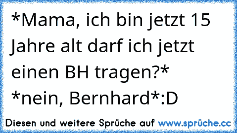 *Mama, ich bin jetzt 15 Jahre alt darf ich jetzt einen BH tragen?* *nein, Bernhard*
:D