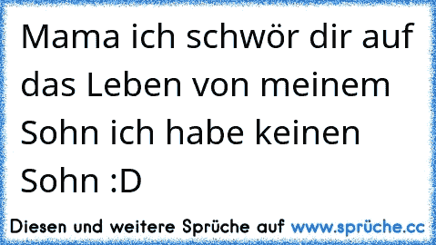 Mama ich schwör dir auf das Leben von meinem Sohn ich habe keinen Sohn :D