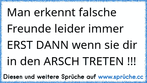 Man erkennt falsche Freunde leider immer ERST DANN wenn sie dir in den ARSCH TRETEN !!!