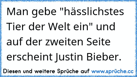 Man gebe "hässlichstes Tier der Welt ein" und auf der zweiten Seite erscheint Justin Bieber.