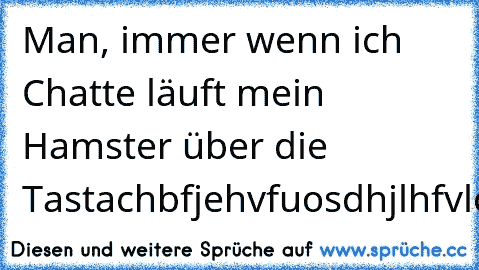 Man, immer wenn ich Chatte läuft mein Hamster über die Tastachbfjehvfuosdhjlhfvlcndles