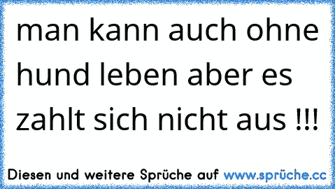 man kann auch ohne hund leben aber es zahlt sich nicht aus !!!