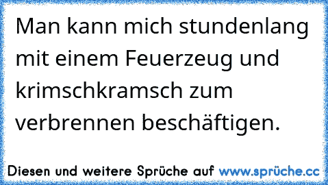 Man kann mich stundenlang mit einem Feuerzeug und krimschkramsch zum verbrennen beschäftigen.