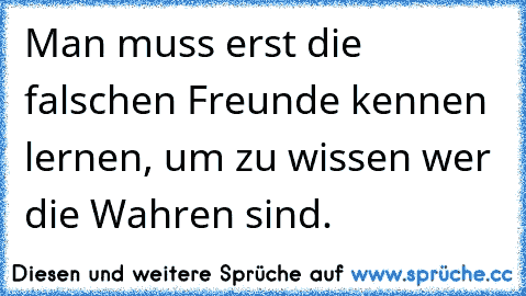 Man muss erst die falschen Freunde kennen lernen, um zu wissen wer die Wahren sind.