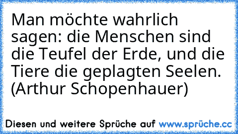 Man möchte wahrlich sagen: die Menschen sind die Teufel der Erde, und die Tiere die geplagten Seelen. (Arthur Schopenhauer)