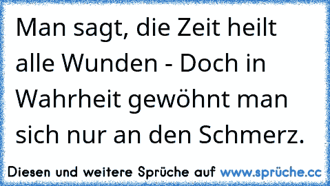 Man sagt, die Zeit heilt alle Wunden - Doch in Wahrheit gewöhnt man sich nur an den Schmerz.