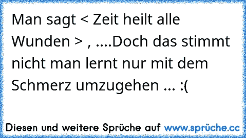 Man sagt < Zeit heilt alle Wunden > , ....
Doch das stimmt nicht man lernt nur mit dem Schmerz umzugehen ... :(