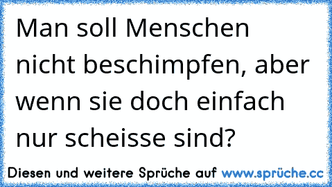 Man soll Menschen nicht beschimpfen, aber wenn sie doch einfach nur scheisse sind?