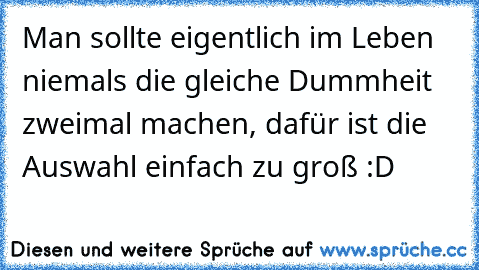 Man sollte eigentlich im Leben niemals die gleiche Dummheit zweimal machen, dafür ist die Auswahl einfach zu groß :D