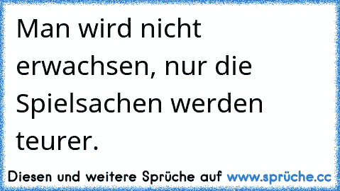 Man wird nicht erwachsen, nur die Spielsachen werden teurer.