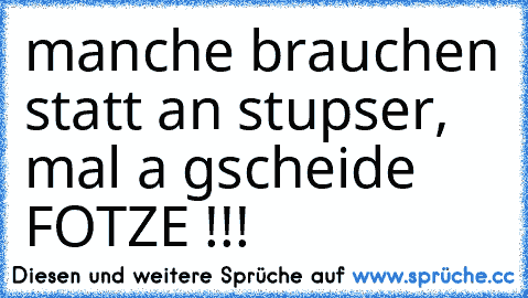 manche brauchen statt an stupser, mal a gscheide FOTZE !!!