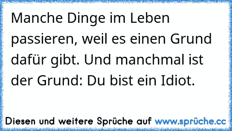 Manche Dinge im Leben passieren, weil es einen Grund dafür gibt. Und manchmal ist der Grund: Du bist ein Idiot.