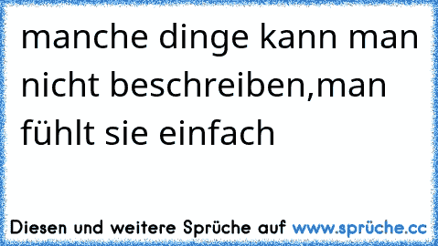 manche dinge kann man nicht beschreiben,man fühlt sie einfach  