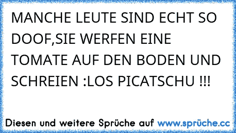 MANCHE LEUTE SIND ECHT SO DOOF,SIE WERFEN EINE TOMATE AUF DEN BODEN UND SCHREIEN :LOS PICATSCHU !!!