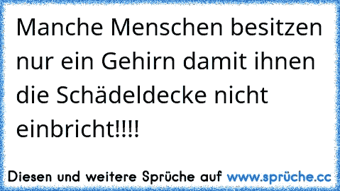 Manche Menschen besitzen nur ein Gehirn damit ihnen die Schädeldecke nicht einbricht!!!!