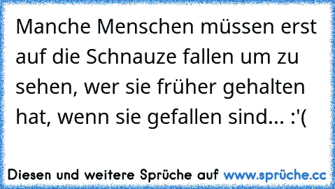 Manche Menschen müssen erst auf die Schnauze fallen um zu sehen, wer sie früher gehalten hat, wenn sie gefallen sind... :'( ♥