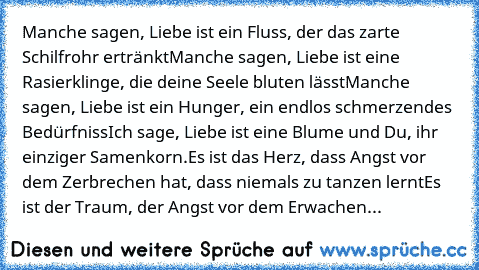 Manche sagen, Liebe ist ein Fluss, der das zarte Schilfrohr ertränkt
Manche sagen, Liebe ist eine Rasierklinge, die deine Seele bluten lässt
Manche sagen, Liebe ist ein Hunger, ein endlos schmerzendes Bedürfniss
Ich sage, Liebe ist eine Blume und Du, ihr einziger Samenkorn.
Es ist das Herz, dass Angst vor dem Zerbrechen hat, dass niemals zu tanzen lernt
Es ist der Traum, der Angst vor dem Erwac...