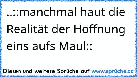 ..::manchmal haut die Realität der Hoffnung eins aufs Maul::