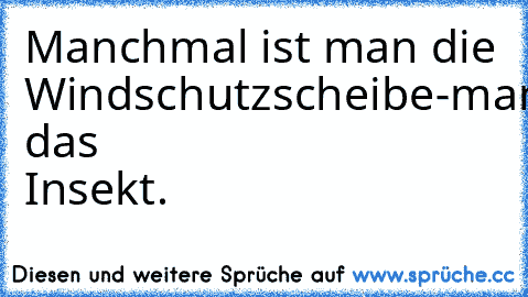 Manchmal ist man die Windschutzscheibe-
manchmal das Insekt.