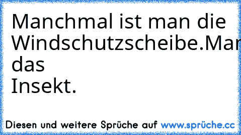 Manchmal ist man die Windschutzscheibe.
Manchmal das Insekt.