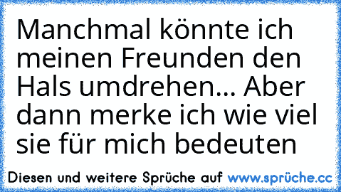 Manchmal könnte ich meinen Freunden den Hals umdrehen... Aber dann merke ich wie viel sie für mich bedeuten♥