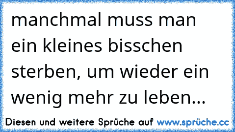 manchmal muss man ein kleines bisschen sterben, um wieder ein wenig mehr zu leben...