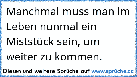 Manchmal muss man im Leben nunmal ein Miststück sein, um weiter zu kommen.