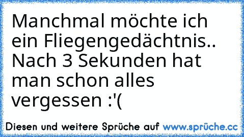 Manchmal möchte ich ein Fliegengedächtnis.. Nach 3 Sekunden hat man schon alles vergessen :'(