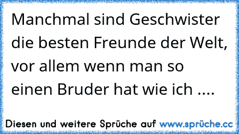 Manchmal sind Geschwister die besten Freunde der Welt, vor allem wenn man so einen Bruder hat wie ich ....