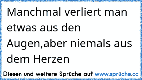 Manchmal verliert man etwas aus den Augen,aber niemals aus dem Herzen♥