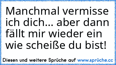 Manchmal vermisse ich dich... aber dann fällt mir wieder ein wie scheiße du bist!