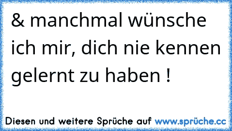 & manchmal wünsche ich mir, dich nie kennen gelernt zu haben !