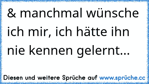 & manchmal wünsche ich mir, ich hätte ihn nie kennen gelernt...