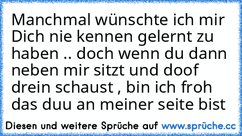 Manchmal wünschte ich mir Dich nie kennen gelernt zu haben .. doch wenn du dann neben mir sitzt und doof drein schaust , bin ich froh das duu an meiner seite bist