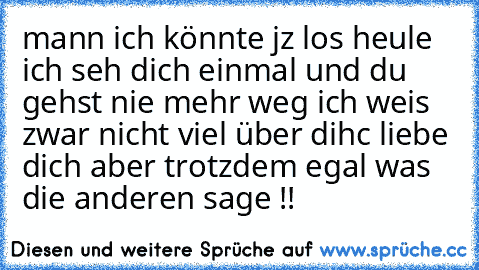 mann ich könnte jz los heule ich seh dich einmal und du gehst nie mehr weg ich weis zwar nicht viel über dihc liebe dich aber trotzdem egal was die anderen sage !!