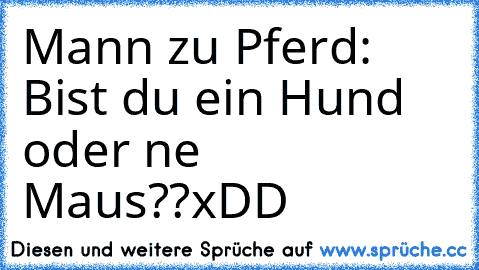 Mann zu Pferd: Bist du ein Hund oder ne Maus??
xDD