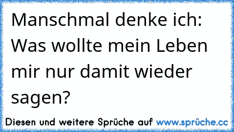 Manschmal denke ich: Was wollte mein Leben mir nur damit wieder sagen?